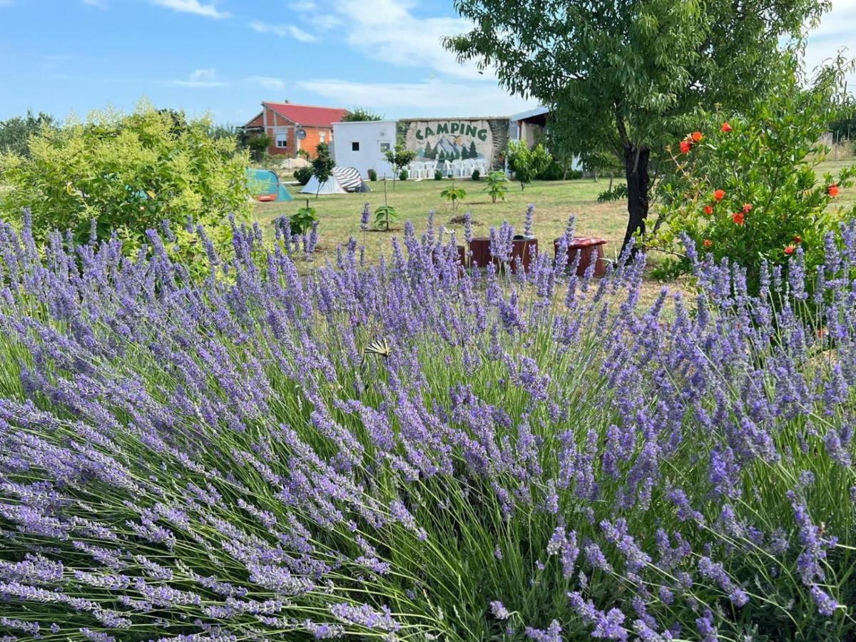 Camping Laste Hotel Smokovic Eksteriør billede